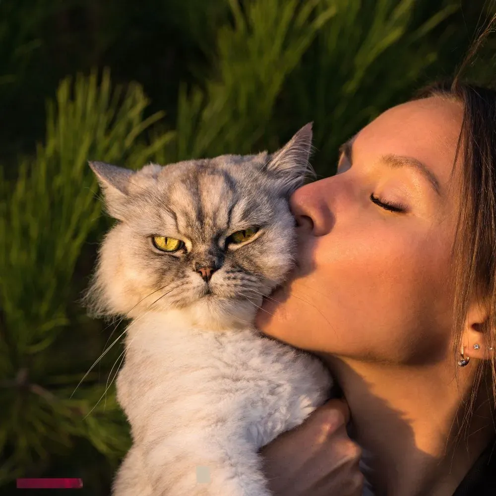 Cute and Funny Appreciation Quotes for Him