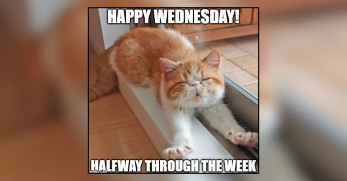 Funny Work Quotes for Wednesday