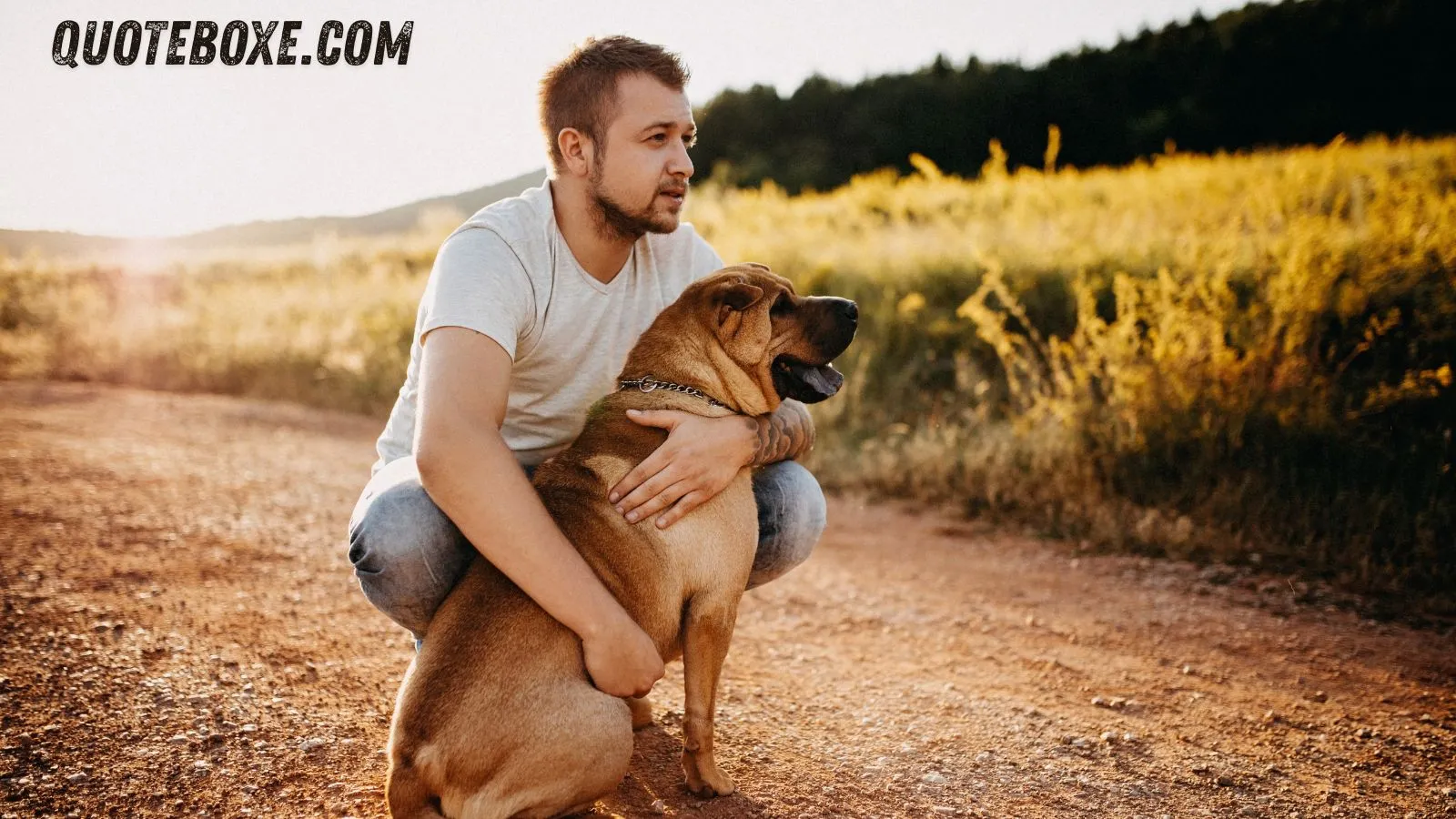 Memorial Quotes for Dogs